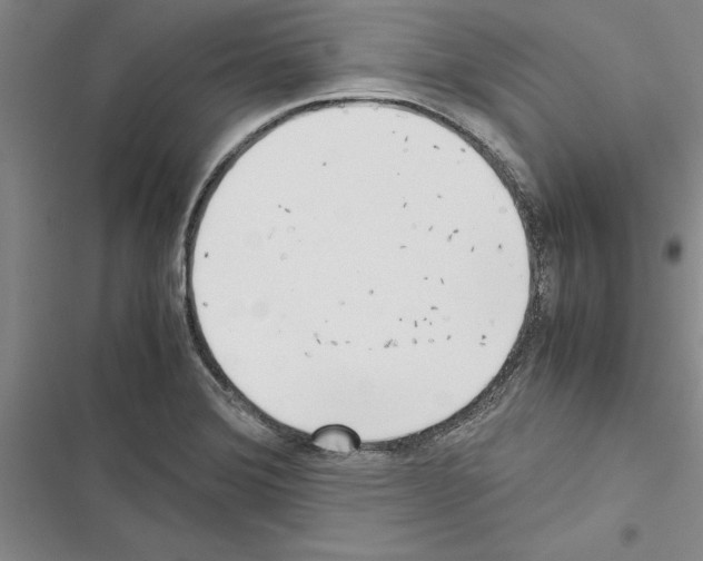 X0000116601372201001221249