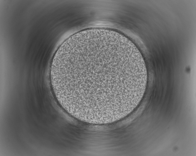 X0000116601374201001221249