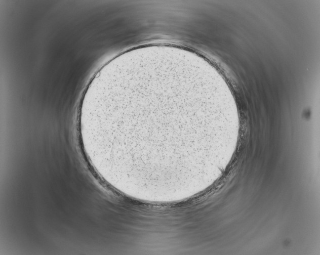 X0000116601375201001221249