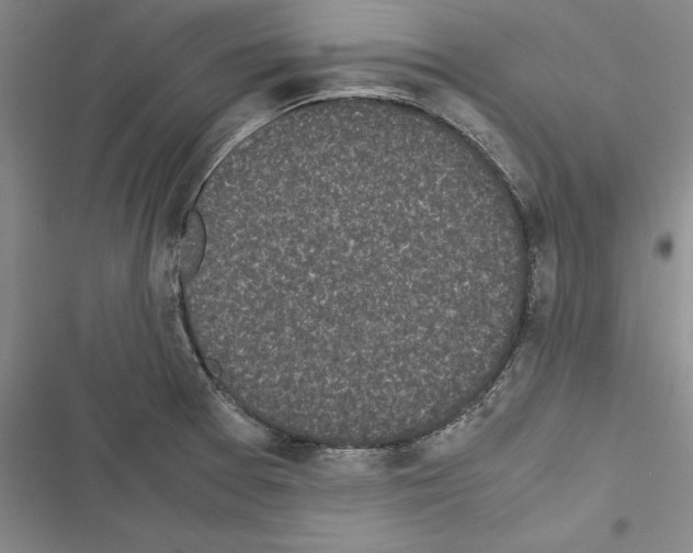 X0000116601377201001221249