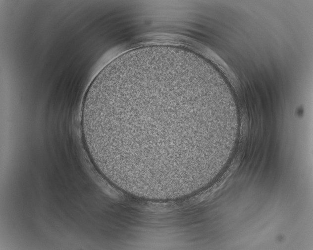 X0000116601378201001221249