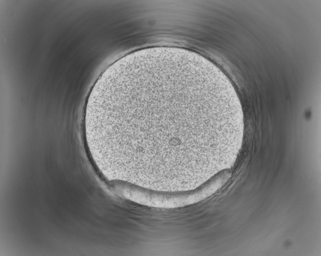 X0000116601379201001221249