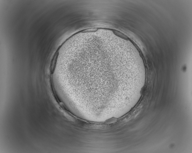 X0000116601381201001221249