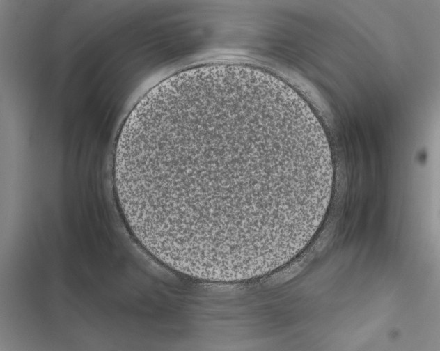 X0000116601382201001221249