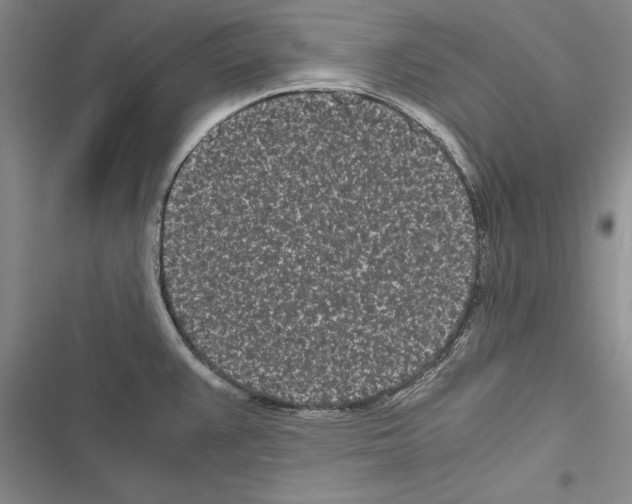 X0000116601383201001221249