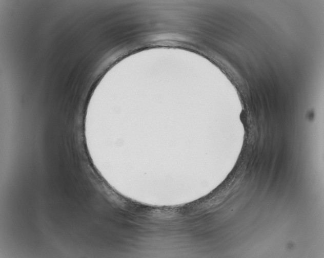 X0000116601384201001221249