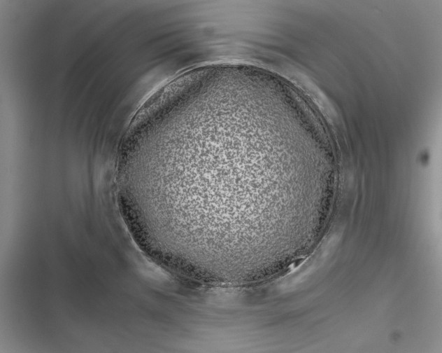 X0000116601385201001221248