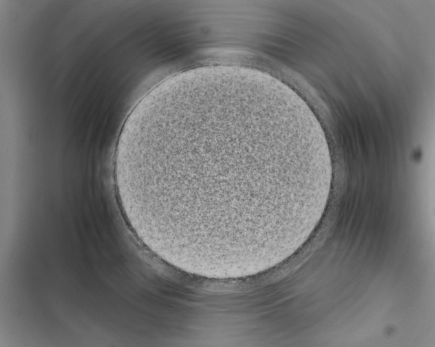 X0000116601386201001221248
