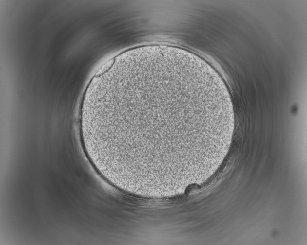 X0000116601387201001221248