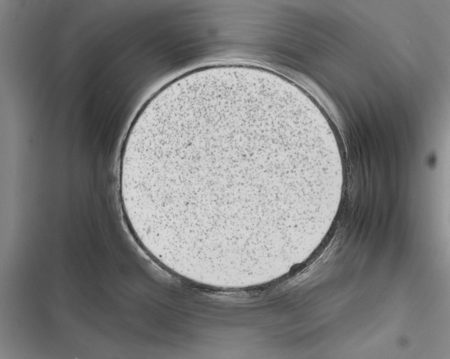 X0000116601388201001221248