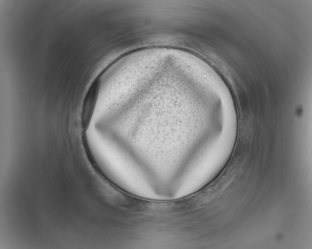 X0000116601389201001221248