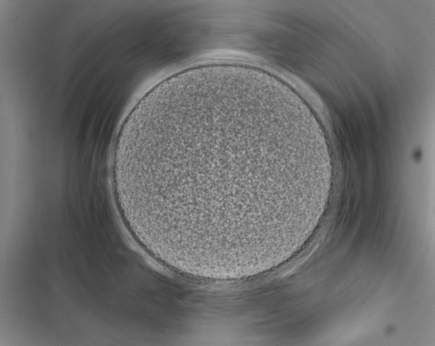 X0000116601390201001221248