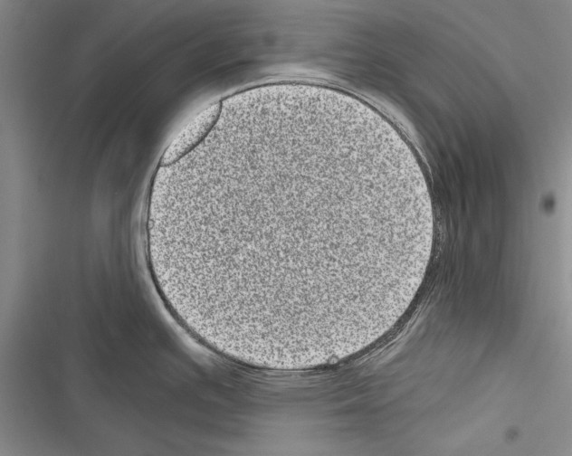 X0000116601391201001221248