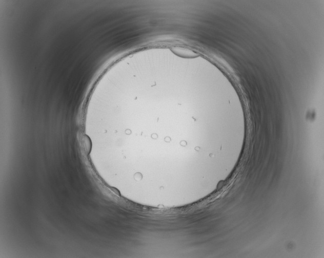 X0000116601392201001221248