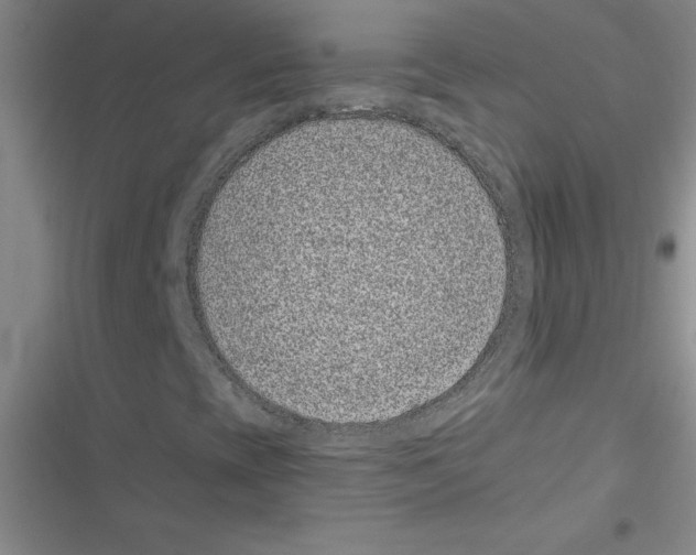 X0000116601393201001221248