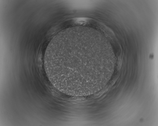 X0000116601394201001221248