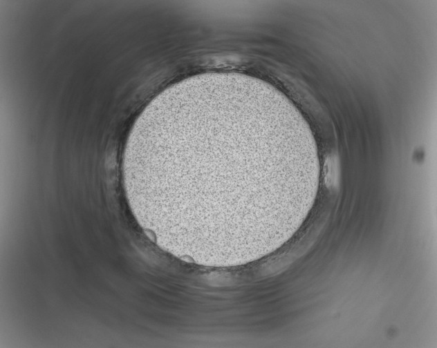 X0000116601395201001221248