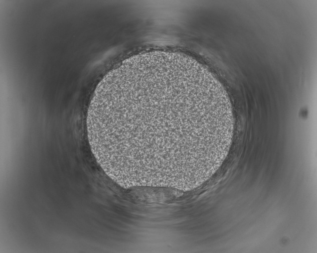 X0000116601398201001221248