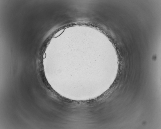 X0000116601400201001221248