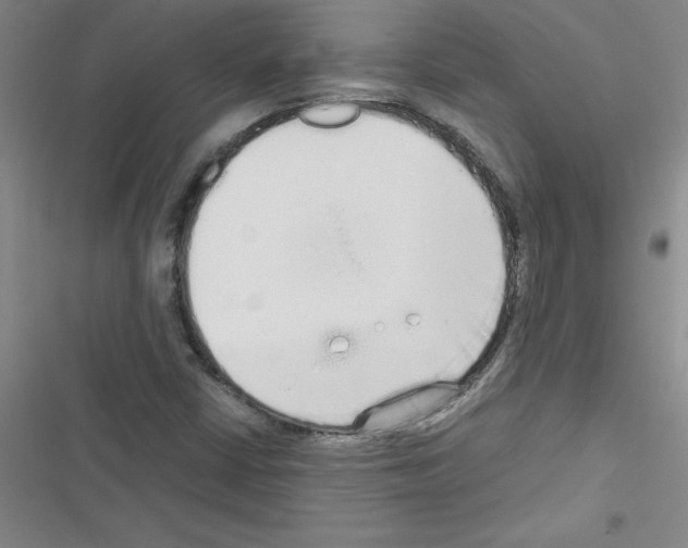X0000116601402201001221248
