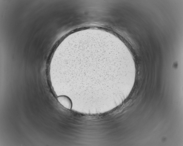 X0000116601404201001221248