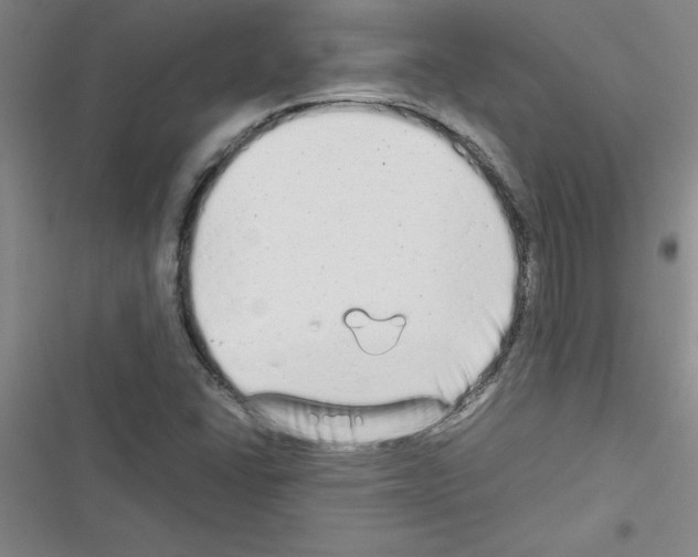 X0000116601406201001221248
