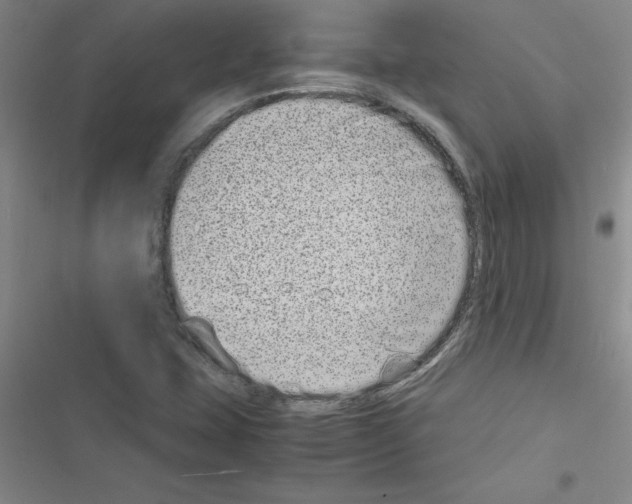 X0000116601407201001221248