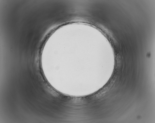 X0000116601408201001221248