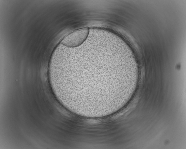 X0000116601409201001221248