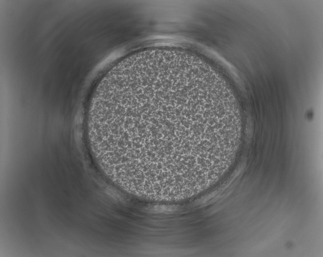 X0000116601411201001221248