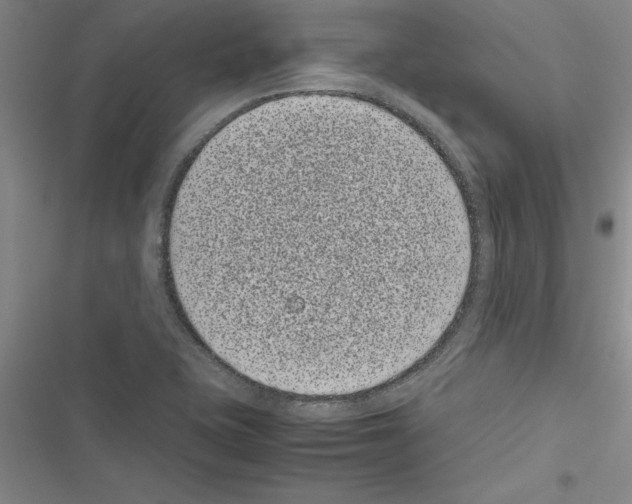 X0000116601415201001221248