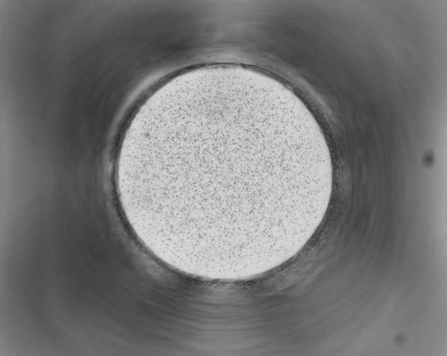 X0000116601416201001221248