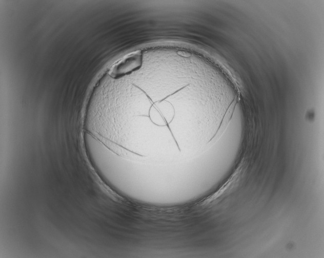 X0000116601417201001221248