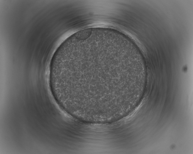 X0000116601418201001221248