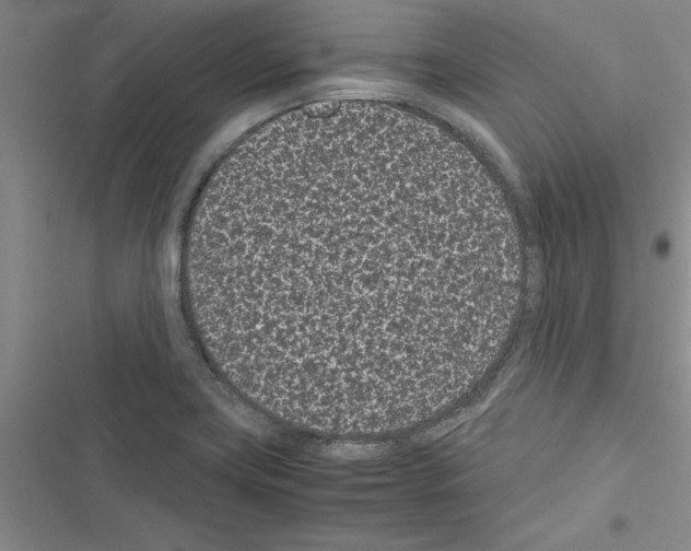 X0000116601419201001221248