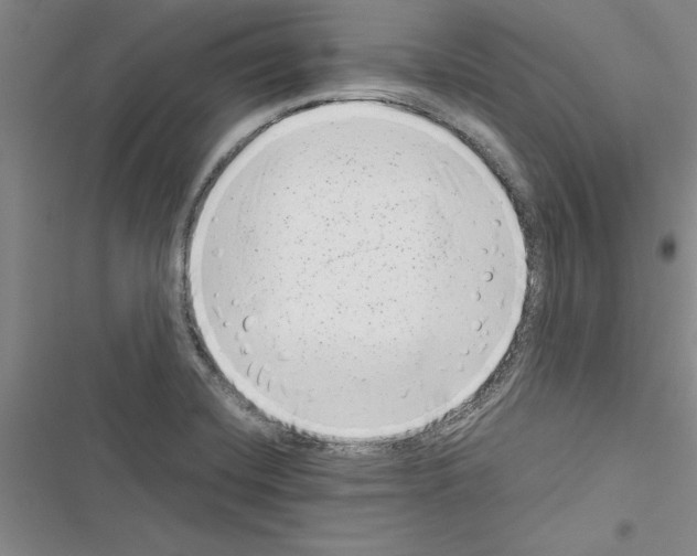 X0000116601420201001221248