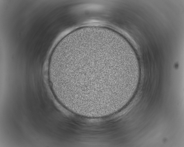 X0000116601421201001221248