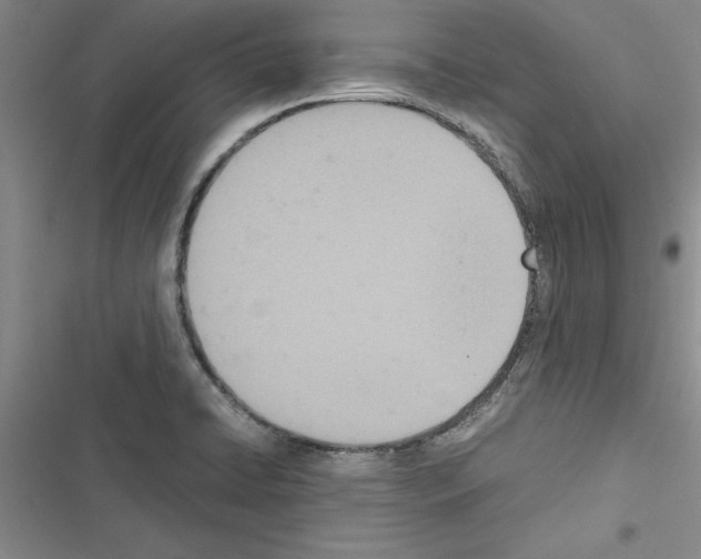 X0000116601422201001221248