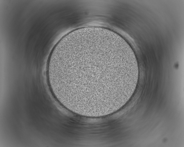 X0000116601423201001221248