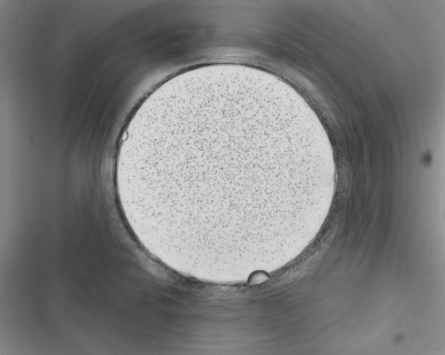 X0000116601424201001221248