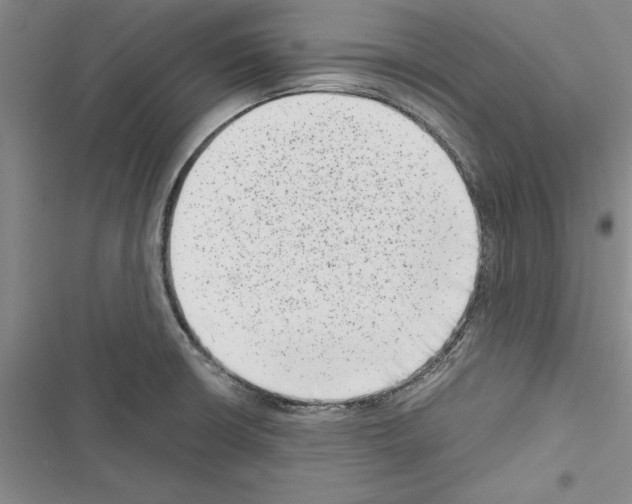 X0000116601426201001221248