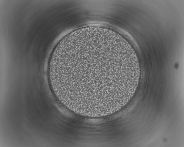 X0000116601427201001221248
