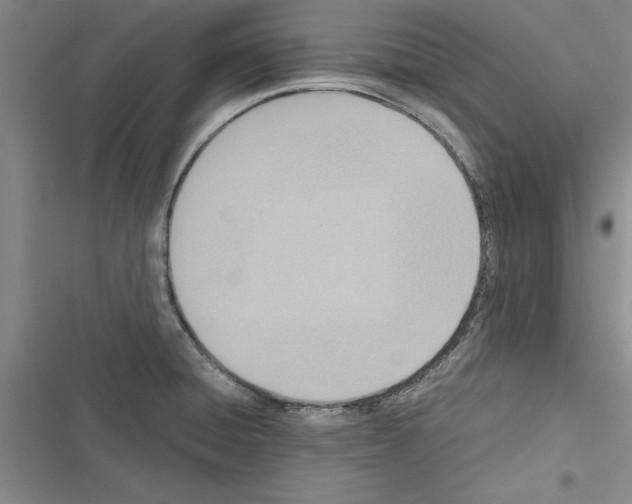 X0000116601428201001221248