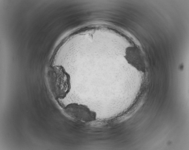 X0000116601429201001221248