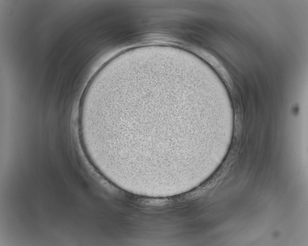 X0000116601431201001221248