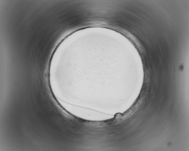 X0000116601432201001221248
