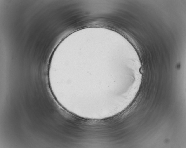X0000116601434201001221248