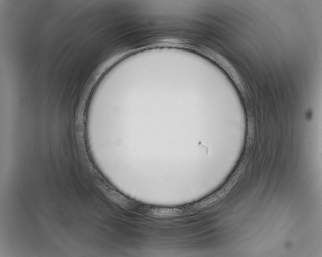 X0000116601435201001221248