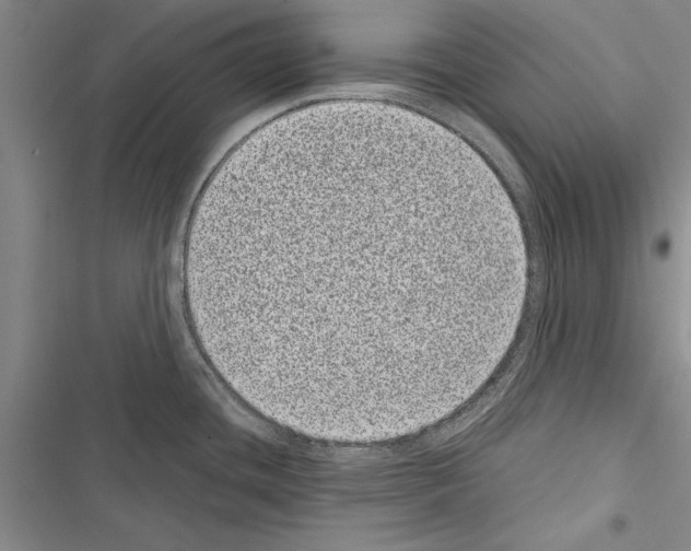 X0000116601436201001221248