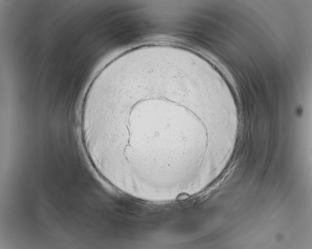 X0000116601437201001221248